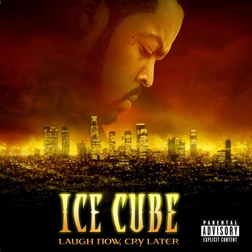 Album cover for Laugh Now, Cry Later